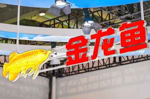 計算機軟件技術(shù)開發(fā) 驅(qū)動產(chǎn)業(yè)變革與創(chuàng)新的核心引擎