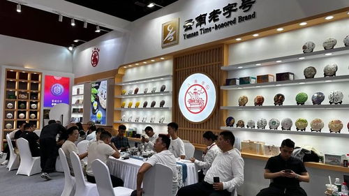 廣州秋季茶博會首日盛況 云南云墾茶業(yè)展位人氣爆棚，展覽服務(wù)亮點紛呈